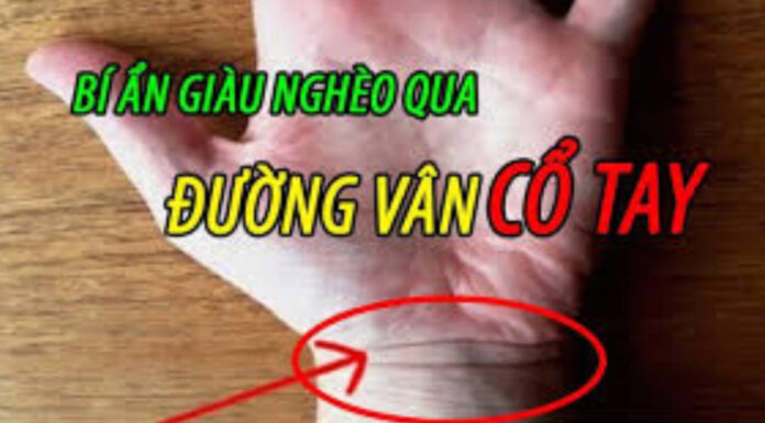 Uncover Your Destiny: Palm Reading and the Secrets It Holds