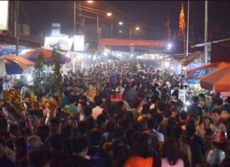 The Lucky New Year’s Market in Nam Dinh: A Unique Annual Tradition