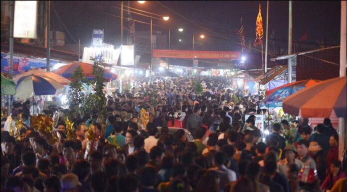 The Lucky New Year’s Market in Nam Dinh: A Unique Annual Tradition
