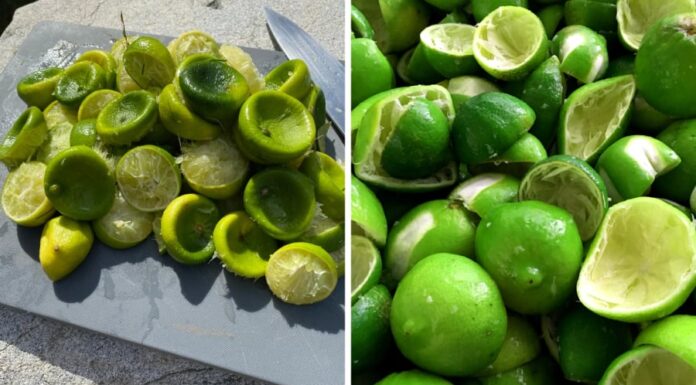 “Don’t Toss That Lemon Peel! It Can Do More Than You Think”