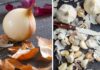 Why You Shouldn’t Throw Away Onion and Garlic Skins