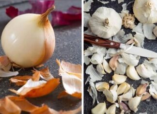 Why You Shouldn’t Throw Away Onion and Garlic Skins