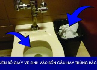 Is It Okay to Flush Toilet Paper? You’re Doing It Wrong 90% of the Time