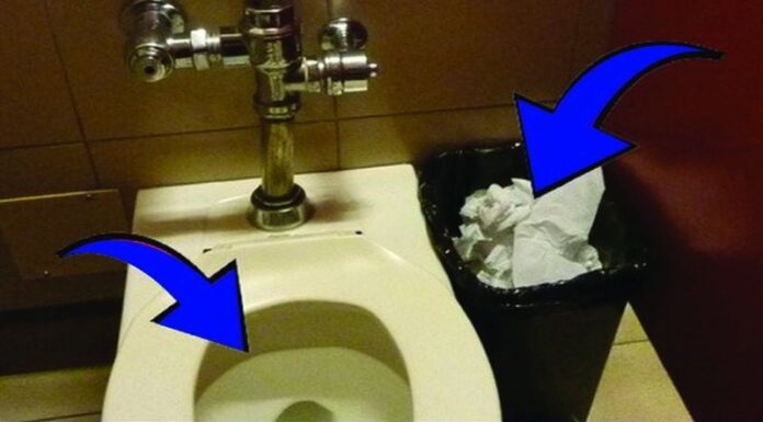Is It Okay to Flush Toilet Paper? You’re Doing It Wrong 90% of the Time