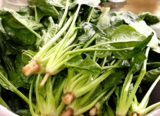 The Secret to Perfectly Green Stir-Fried Vegetables: A Chef’s Guide to Preserving Color