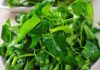 The Secret to Perfectly Stir-Fried Water Spinach: A Sprinkle of Magic for Vibrant, Crisp, and Delicious Greens