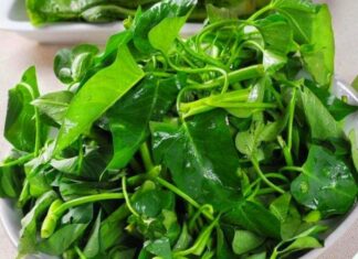 The Secret to Perfectly Stir-Fried Water Spinach: A Sprinkle of Magic for Vibrant, Crisp, and Delicious Greens