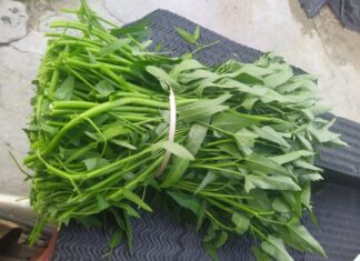 The Secret to Stir-frying Water Spinach: “1 Soak, 3 No’s” for Vibrant, Crisp, and Delicious Greens