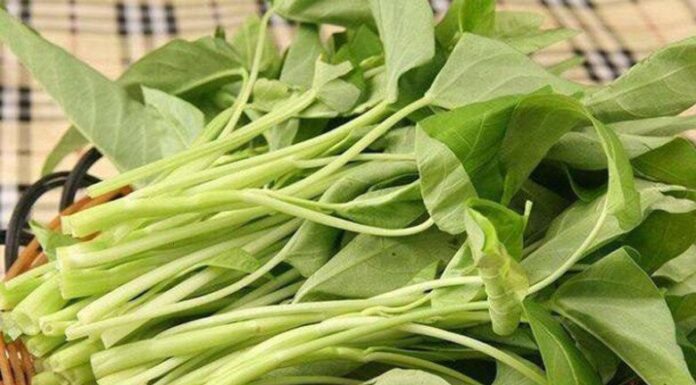 “The Secret to Perfect Stir-Fried Water Spinach: Don’t Skimp on the Soak”