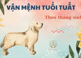 The Four Unluckiest Birth Months for Those Born in the Year of the Dog: When Wealth is Just Out of Reach