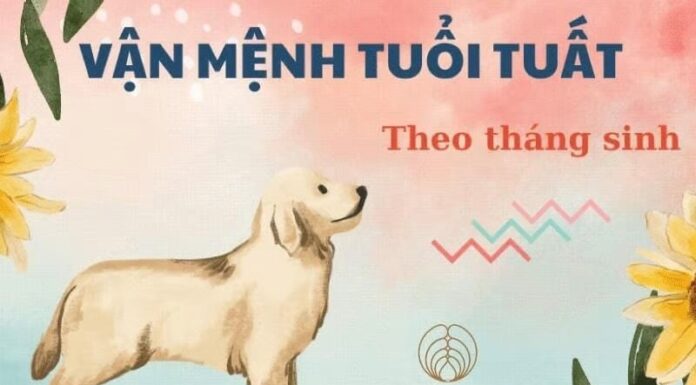 The Four Unluckiest Birth Months for Those Born in the Year of the Dog: When Wealth is Just Out of Reach