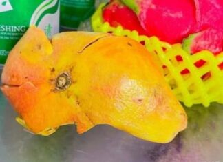 The Pomegranate Peel: 5 “Priceless” Benefits You Shouldn’t Miss Out On