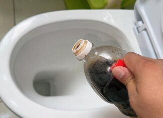 The Magic of Soy Sauce: A Few Drops Can Transform Your Toilet Bowl