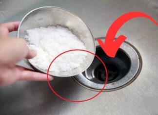 The Magic of Salt: Unclogging Drains and Saving a Fortune