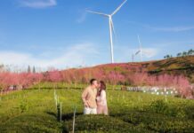 Dalat Ranks Among Asia’s Most Affordable Travel Destinations