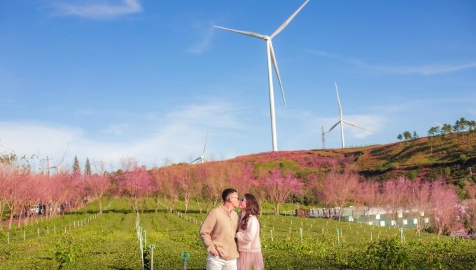 Dalat Ranks Among Asia’s Most Affordable Travel Destinations