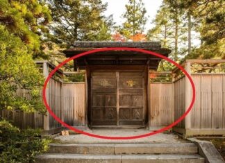 The Ancient Wisdom Still Rings True: “A House with Two Doors Brings Chaos to Both People and Possessions” – What Could This Door Be?