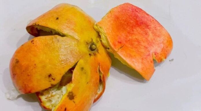 “Transform Pomegranate Peels: A 3-Day Vinegar Soak for Desirable Effects”