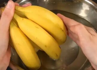 Unlock the Secret to Keeping Bananas Fresh for Up to 10 Days: No More Bruising and Discoloration