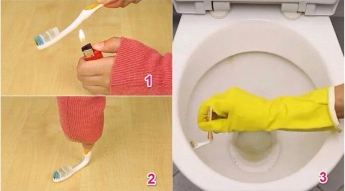 The Magic of Upcycling: Transform Your Old Toothbrush and Save a Fortune