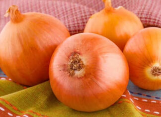 “The Ultimate Guide to Storing Onions: Keep Them Fresh for Over 3 Months”