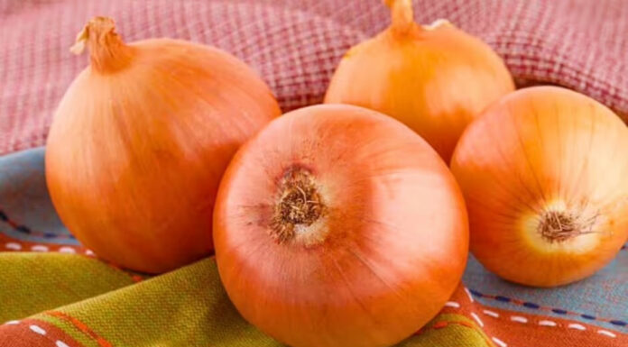 “The Ultimate Guide to Storing Onions: Keep Them Fresh for Over 3 Months”