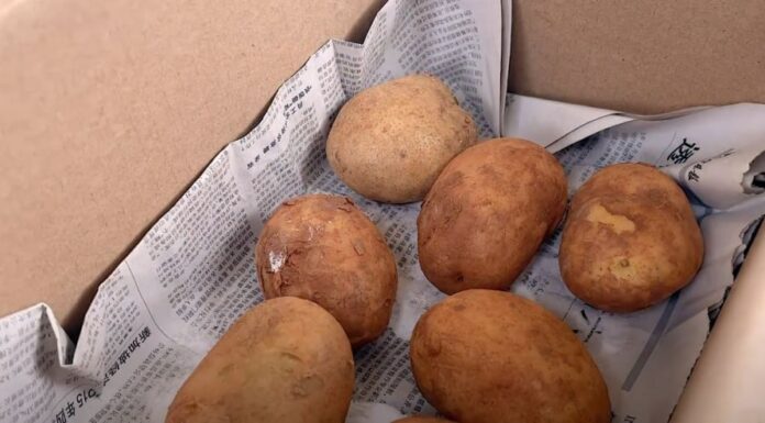 The Ultimate Guide to Potato Storage: Prevent Greening and Sprouting