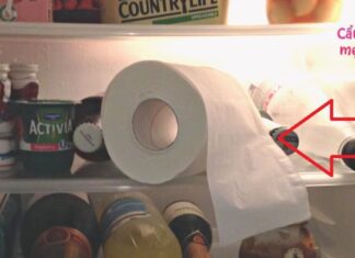 Why You Should Keep a Roll of Toilet Paper in Your Fridge: A Surprising Hack You’ll Want to Try