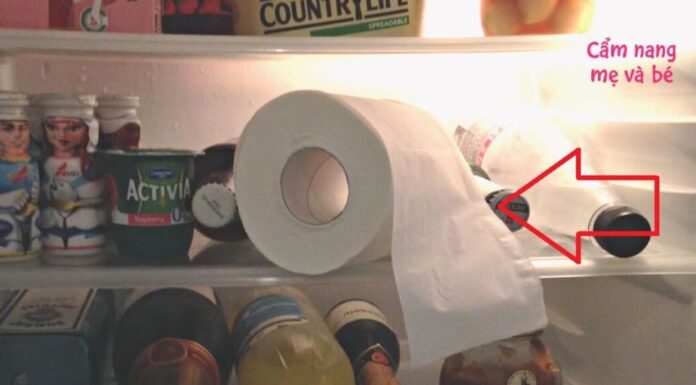 Why You Should Keep a Roll of Toilet Paper in Your Fridge: A Surprising Hack You’ll Want to Try