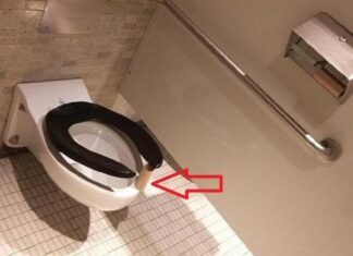 Why You Should Cover the Toilet Seat With Toilet Paper When Using a Public Restroom