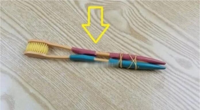 “Don’t Toss That Old Toothbrush Just Yet: A Hack Every Household Needs to Know to Save a Fortune”