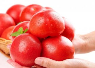 The Ultimate Guide to Choosing the Perfect Tomato: 3 Simple Tips to Pick the Sweetest, Juiciest, and Meatiest Tomatoes Every Time