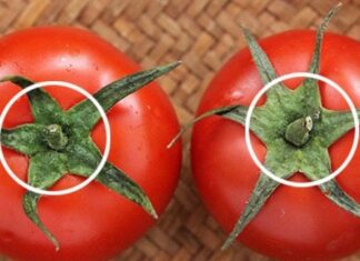 The Ultimate Guide to Choosing the Best Tomatoes: 5 or 6-Cleft Varieties and How to Detox Chemically Ripened Tomatoes.