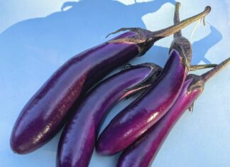 “The King of Vegetables”: A Tasty Stir-Fry That’ll Have You Coming Back for More