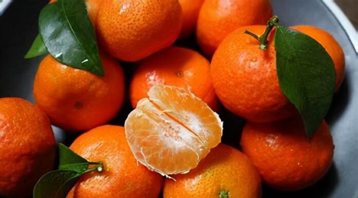 Be Mindful When Choosing Cam Canh for the Khai Ha Ritual – A Quick Guide to Doing it Right