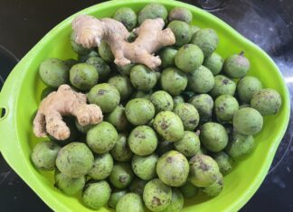 “The Ultimate Guide to Making Crisp and Delicious Pickled Apricots: Achieve the Perfect Sweet and Tart Balance with This Easy Technique”