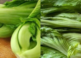 The 6 Fermentation Fails: Why Your Pickles are Turning Moldy and Not Golden, and How to Fix it For Good