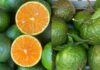 The Ultimate Guide to Buying the Juiciest, Most Delicious Oranges: A Secret to Picking the Best Fruit Revealed