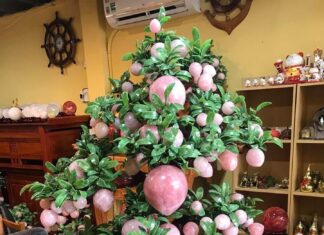 “Attract Wealth and Prosperity with Easy Feng Shui Peach Tips”