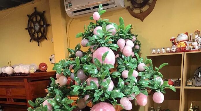 “Attract Wealth and Prosperity with Easy Feng Shui Peach Tips”