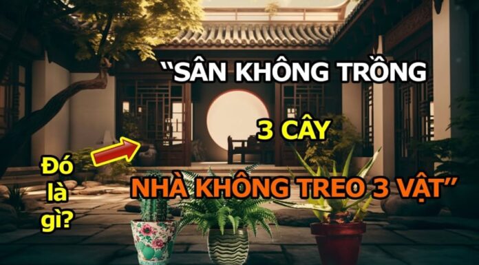 The 3 Outdoor Plants and 3 Indoor Hanging Items to Attract Wealth: What Are They?