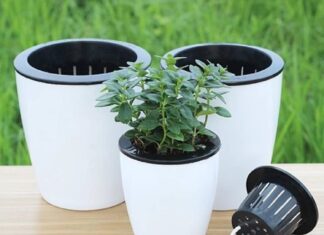 The Ultimate Guide to Self-Watering Houseplants While You’re Away