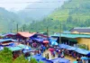The Ultimate Guide to Laos Cai’s Hidden Gem: A Creekside Market with an Abundance of Mountain Delicacies, Fresh and Affordable.