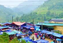 The Ultimate Guide to Laos Cai’s Hidden Gem: A Creekside Market with an Abundance of Mountain Delicacies, Fresh and Affordable.