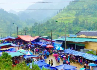 The Ultimate Guide to Laos Cai’s Hidden Gem: A Creekside Market with an Abundance of Mountain Delicacies, Fresh and Affordable.