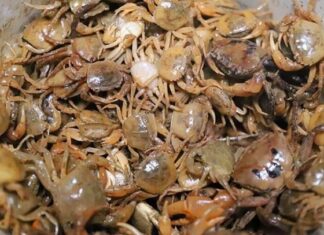 The Secret to Cooking a Delicious Crab Soup: How to Make the Meat Float in Chunks and Enhance the Sweet Aroma