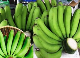 The Do’s and Don’ts of Banana Offering: A Cultural Guide to Ancestor Worship