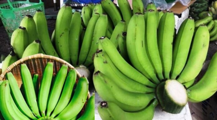 The Do’s and Don’ts of Banana Offering: A Cultural Guide to Ancestor Worship
