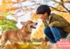 Should Parents Let Their Children Have Pets? Understanding the Benefits Will Give Moms a Valid Answer.