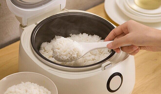 Is it Necessary to Unplug the Rice Cooker Immediately After Cooking? Unplug it or Not?